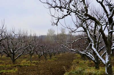 Прикрепленное изображение: _DSC3658 (Копировать).JPG